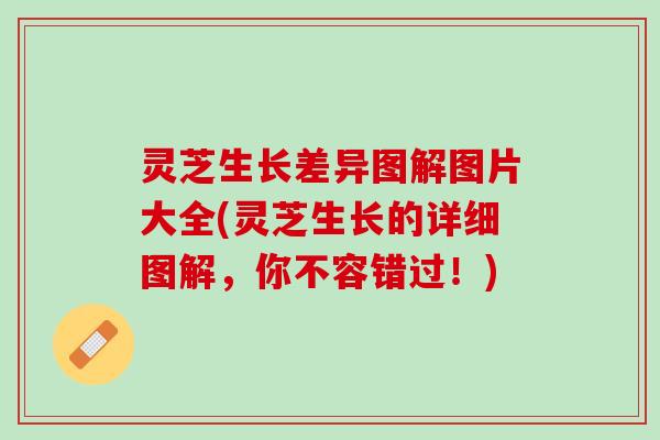 灵芝生长差异图解图片大全(灵芝生长的详细图解,你不容错过!) 灵芝生长差异图解图片大全(灵芝生长的详细图解,你不容错过!)
