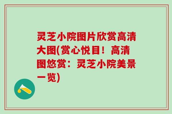 灵芝小院图片欣赏高清大图(赏心悦目！高清图悠赏：灵芝小院美景一览)