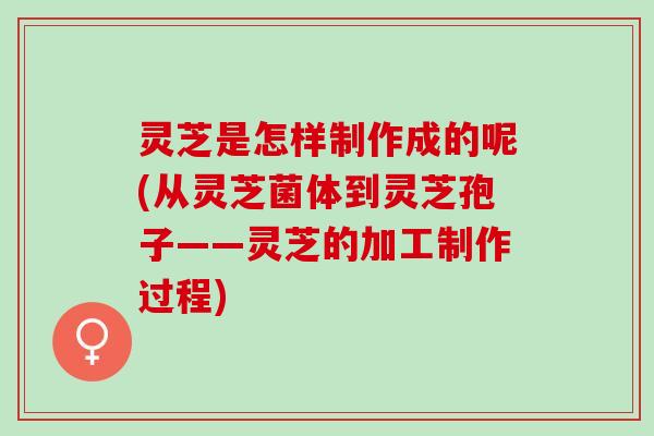 灵芝是怎样制作成的呢(从灵芝菌体到灵芝孢子——灵芝的加工制作过程)