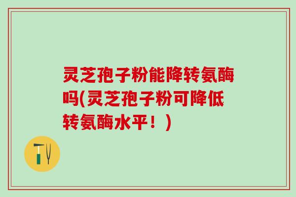灵芝孢子粉能降转氨酶吗(灵芝孢子粉可降低转氨酶水平！)