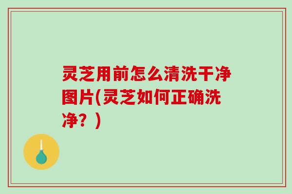 灵芝用前怎么清洗干净图片(灵芝如何正确洗净？)