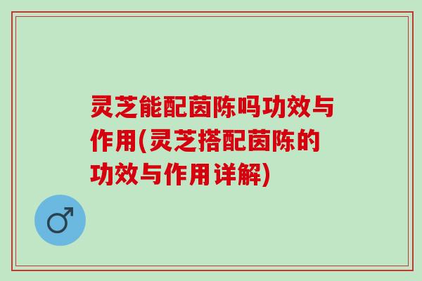 灵芝能配茵陈吗功效与作用(灵芝搭配茵陈的功效与作用详解) 灵芝能配茵陈吗功效与作用(灵芝搭配茵陈的功效与作用详解)