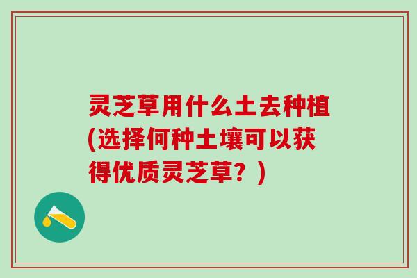 灵芝草用什么土去种植(选择何种土壤可以获得优质灵芝草？)