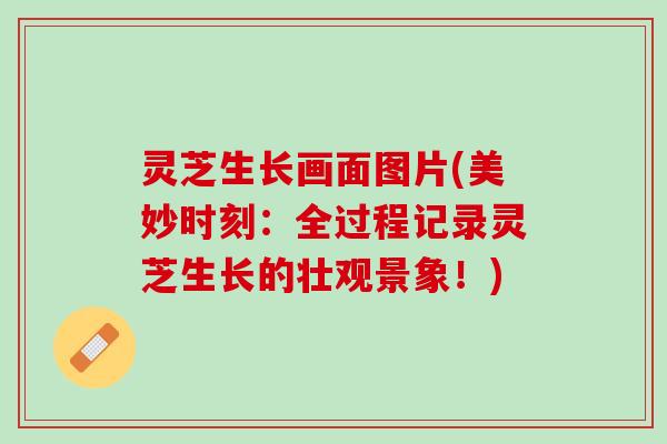 灵芝生长画面图片(美妙时刻：全过程记录灵芝生长的壮观景象！)