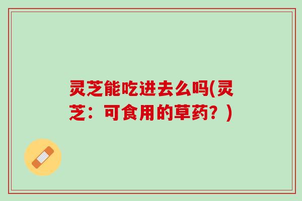 灵芝能吃进去么吗(灵芝：可食用的草药？)