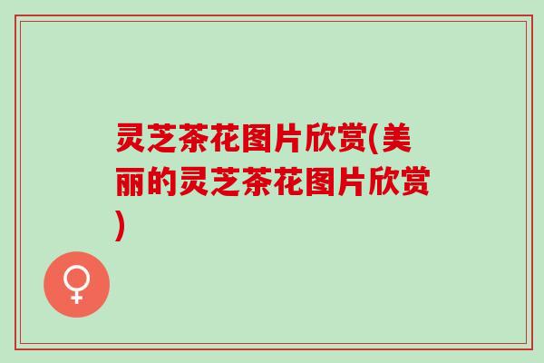 灵芝茶花图片欣赏(美丽的灵芝茶花图片欣赏)