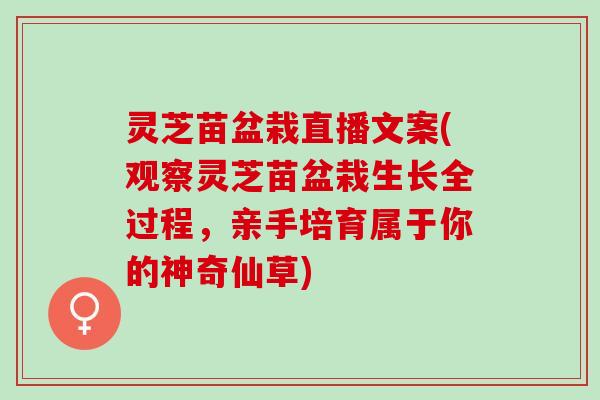 灵芝苗盆栽直播文案(观察灵芝苗盆栽生长全过程，亲手培育属于你的神奇仙草)
