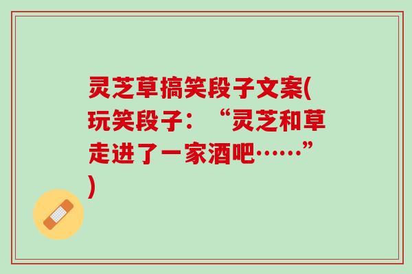 灵芝草搞笑段子文案(玩笑段子：“灵芝和草走进了一家酒吧……”)