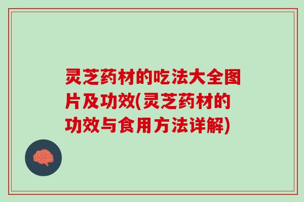 灵芝药材的吃法大全图片及功效(灵芝药材的功效与食用方法详解)