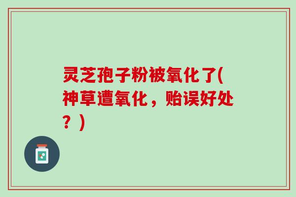 灵芝孢子粉被氧化了(神草遭氧化，贻误好处？)