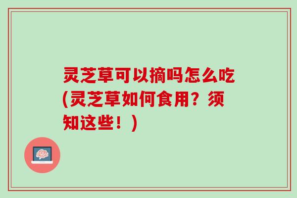 灵芝草可以摘吗怎么吃(灵芝草如何食用？须知这些！)