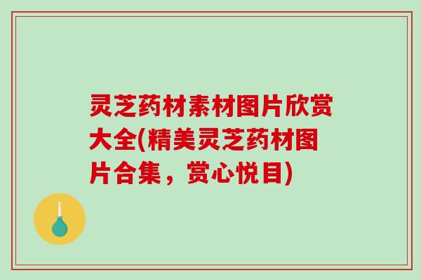 灵芝药材素材图片欣赏大全(精美灵芝药材图片合集，赏心悦目)