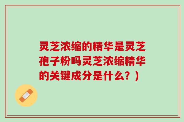 灵芝浓缩的精华是灵芝孢子粉吗灵芝浓缩精华的关键成分是什么?) 灵芝浓缩的精华是灵芝孢子粉吗灵芝浓缩精华的关键成分是什么?)