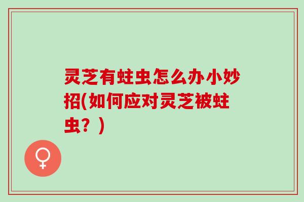灵芝有蛀虫怎么办小妙招(如何应对灵芝被蛀虫?) 灵芝有蛀虫怎么办小妙招(如何应对灵芝被蛀虫?)