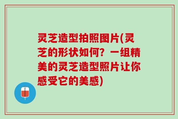 灵芝造型拍照图片(灵芝的形状如何？一组精美的灵芝造型照片让你感受它的美感)