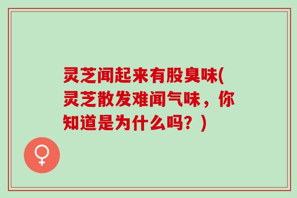 灵芝闻起来有股臭味(灵芝散发难闻气味，你知道是为什么吗？)