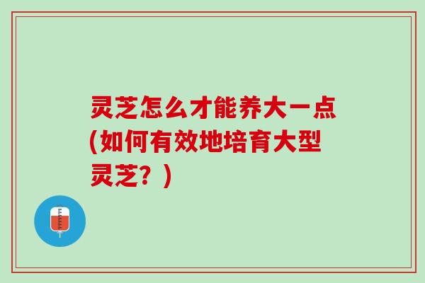 灵芝怎么才能养大一点(如何有效地培育大型灵芝？)