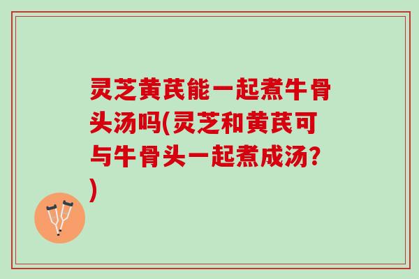 灵芝黄芪能一起煮牛骨头汤吗(灵芝和黄芪可与牛骨头一起煮成汤？)