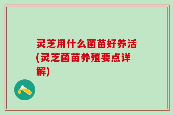 灵芝用什么菌苗好养活(灵芝菌苗养殖要点详解)