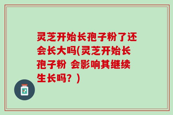 灵芝开始长孢子粉了还会长大吗(灵芝开始长孢子粉 会影响其继续生长吗？)