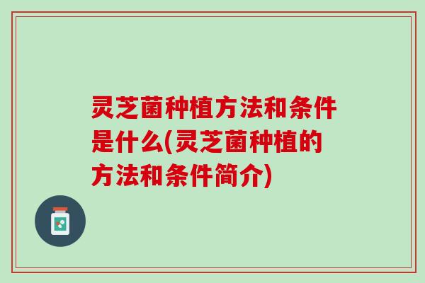 灵芝菌种植方法和条件是什么(灵芝菌种植的方法和条件简介)