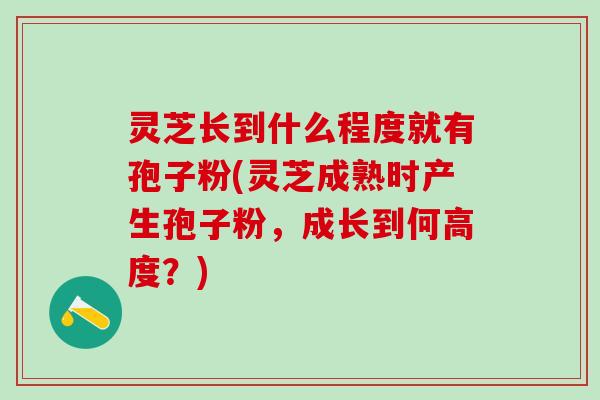灵芝长到什么程度就有孢子粉(灵芝成熟时产生孢子粉，成长到何高度？)