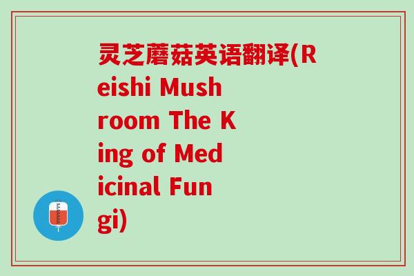 灵芝蘑菇英语翻译(Reishi Mushroom The King of Medicinal Fungi)
