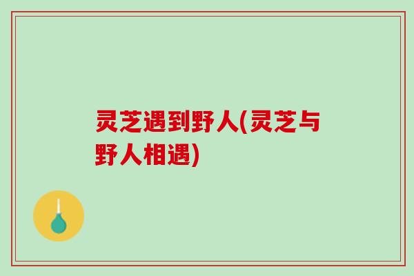 灵芝遇到野人(灵芝与野人相遇)
