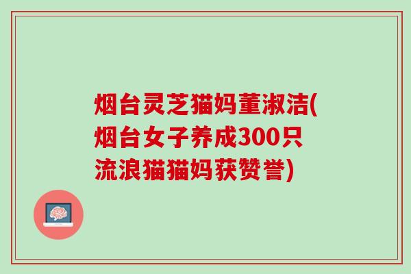 烟台灵芝猫妈董淑洁(烟台女子养成300只流浪猫猫妈获赞誉)