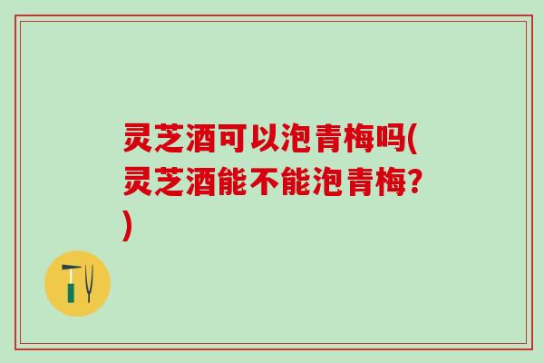灵芝酒可以泡青梅吗(灵芝酒能不能泡青梅？)