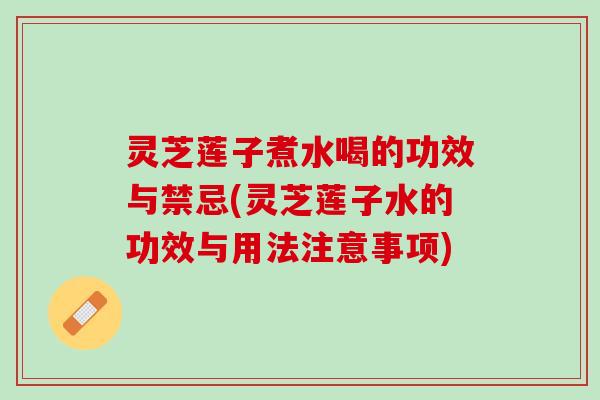 灵芝莲子煮水喝的功效与禁忌(灵芝莲子水的功效与用法注意事项)