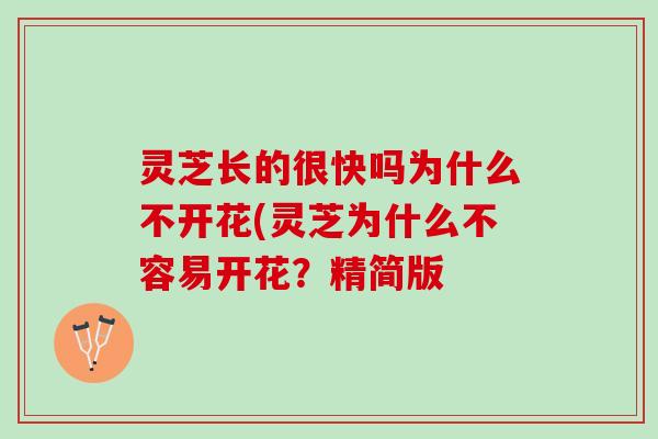 灵芝长的很快吗为什么不开花(灵芝为什么不容易开花？精简版