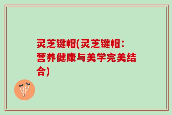 灵芝键帽(灵芝键帽：营养健康与美学完美结合)
