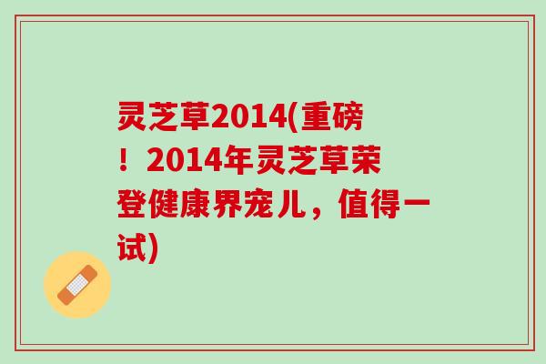 灵芝草2014(重磅!2014年灵芝草荣登健康界宠儿,值得一试) 灵芝草2014(重磅!2014年灵芝草荣登健康界宠儿,值得一试)