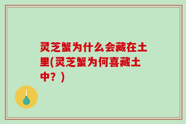 灵芝蟹为什么会藏在土里(灵芝蟹为何喜藏土中？)