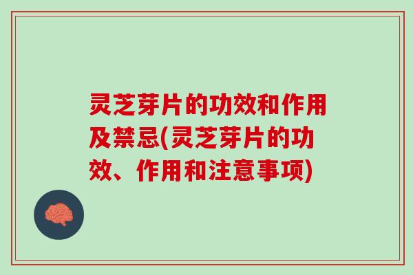 灵芝芽片的功效和作用及禁忌(灵芝芽片的功效、作用和注意事项)