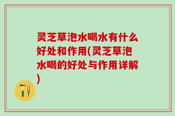 灵芝草泡水喝水有什么好处和作用(灵芝草泡水喝的好处与作用详解)