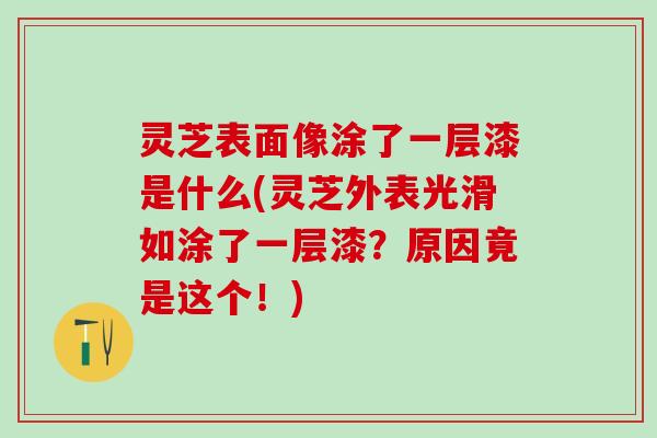 灵芝表面像涂了一层漆是什么(灵芝外表光滑如涂了一层漆?原因竟是这个!) 灵芝表面像涂了一层漆是什么(灵芝外表光滑如涂了一层漆?原因竟是这个!)