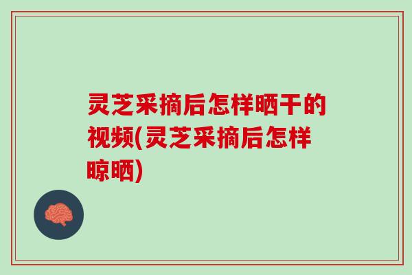 灵芝采摘后怎样晒干的视频(灵芝采摘后怎样晾晒)