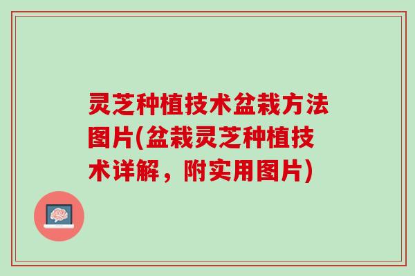 灵芝种植技术盆栽方法图片(盆栽灵芝种植技术详解,附实用图片) 灵芝种植技术盆栽方法图片(盆栽灵芝种植技术详解,附实用图片)