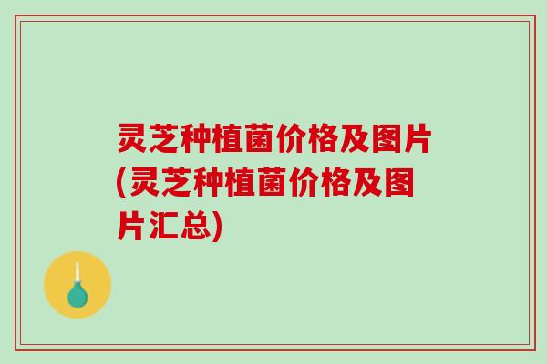 灵芝种植菌价格及图片(灵芝种植菌价格及图片汇总) 灵芝种植菌价格及图片(灵芝种植菌价格及图片汇总)