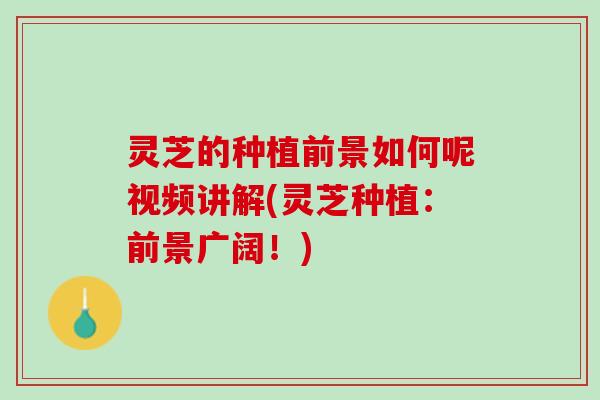灵芝的种植前景如何呢视频讲解(灵芝种植：前景广阔！)