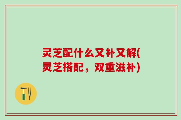 灵芝配什么又补又解(灵芝搭配，双重滋补)