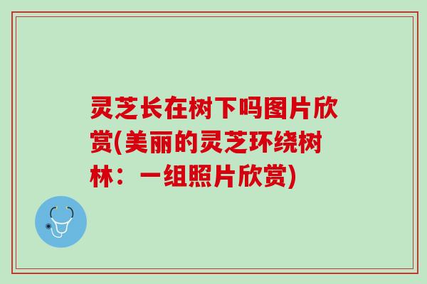 灵芝长在树下吗图片欣赏(美丽的灵芝环绕树林:一组照片欣赏) 灵芝长在树下吗图片欣赏(美丽的灵芝环绕树林:一组照片欣赏)