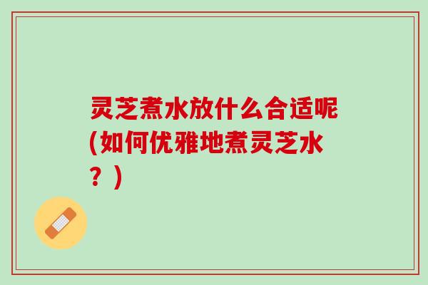 灵芝煮水放什么合适呢(如何优雅地煮灵芝水？)