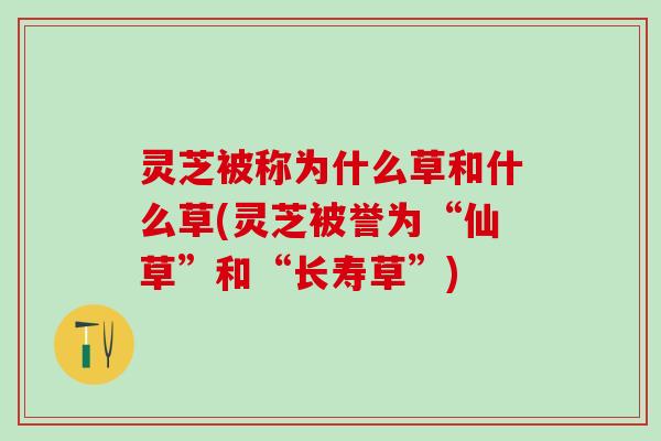 灵芝被称为什么草和什么草(灵芝被誉为“仙草”和“长寿草”)