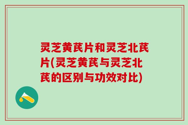 灵芝黄芪片和灵芝北芪片(灵芝黄芪与灵芝北芪的区别与功效对比) 灵芝黄芪片和灵芝北芪片(灵芝黄芪与灵芝北芪的区别与功效对比)