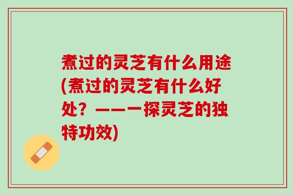 煮过的灵芝有什么用途(煮过的灵芝有什么好处？——一探灵芝的独特功效)