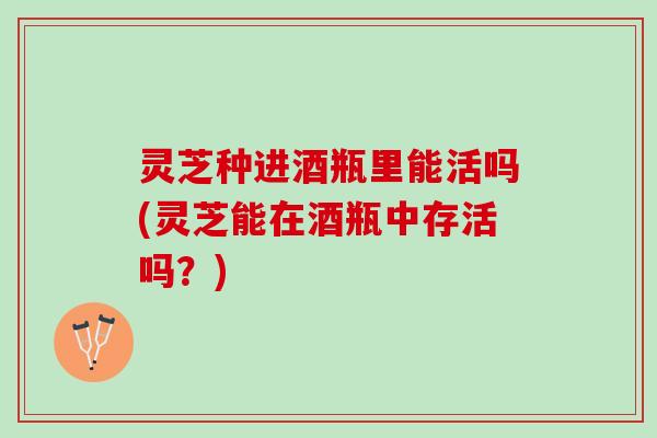灵芝种进酒瓶里能活吗(灵芝能在酒瓶中存活吗？)