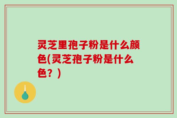 灵芝里孢子粉是什么颜色(灵芝孢子粉是什么色？)